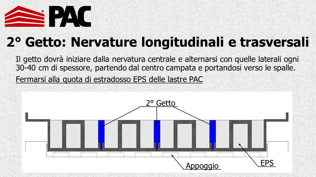 2° Getto - Nervi longitudinali e centrali